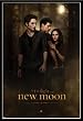 The Twilight Saga: New Moon - Framed Movie Poster (Advance) (Size: 27" x 39") (Black Plastic Frame)