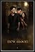 The Twilight Saga: New Moon - Framed Movie Poster (Advance) (Size: 27" x 39") (Black Plastic Frame)