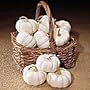 Baby Boo Pumpkin 25 Seeds