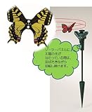 ソーラースティック　バタフライ　イエロー2