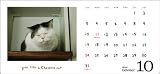 卓上まこと一緒に「猫英語」 2010年 カレンダー 卓上まこと一緒に「猫英語」 2010年 カレンダー