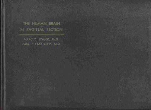 The Human Brain in Sagittal Section
