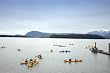 Kayakers in Juneau, Alaska - 16"x20" - Fine-Art Gicl??e Photographic Print by Carol M. Highsmith