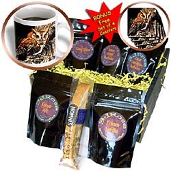 Birds - Owl - Coffee Gift Baskets - Coffee Gift Basket by 3dRose LLC