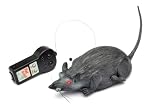 Westminster Radio Controlled Rat - Model# 3981
