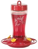 Glass Hummingbird Feeder, 12 oz Red