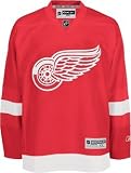Detroit Red Wings Replica NHL Youth Team Color Jersey