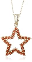 10k Yellow Gold, January Birthstone, Garnet Star Pendant, 18"