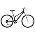Raleigh Waterfront Women's Mountain Bike