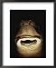 A Close View of the Mouth of a Specimen Cookie Cutter Shark Framed Art Poster Print by Bill Curtsinger, 18x22