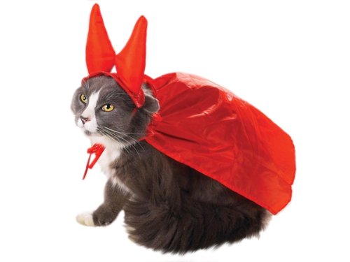 Cat Costume - The Evil One Cat Halloween Costume - One Size Fits All
