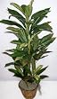 4' Artificial Cordyline Plant