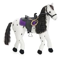 Cookies n' Cream / Appaloosa (White w/Black Markings)