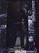 Search : 12" Captain Benjamin Sisko As Seen in Star Trek: Deep Space Nine