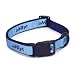 Casual Canine Nylon Adopt Dog Collar, 10-16-Inch, Blue