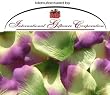 1000 Silk Rose Petals Wedding Favors - Two Tone - Multi Color