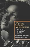 Sisters in the Wilderness: The Challenge of Womanist God-Talk