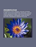 Zingiberaceae: Aframomum, Alpinia, Amomu