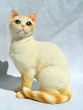American Short Tail Cat - Collectible Figurine Statue Figure Sculpture