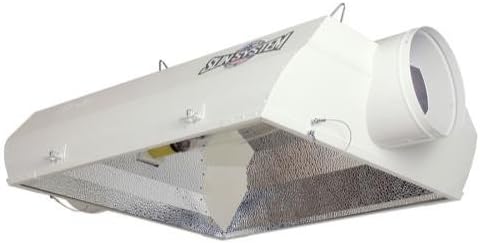 Evolution 8 in Air-Cooled Reflector (12/Plt)