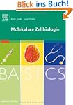 BASICS Molekulare Zellbiologie