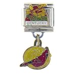 Kentucky State Bird & Flower Italian Charms Bracelet Link