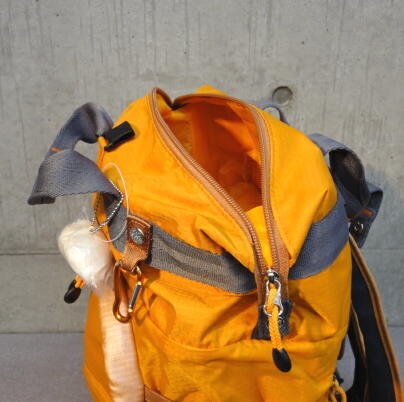 カナナプロジェクト[Kanana project]デイトリ