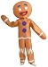 Shrek Child's Costume And Mask, Gingerbread Man Costume
