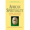 African Spirituality: Forms, Meanings and Expressions (World Spirituality)