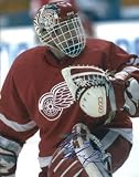 Dominick Hasek Detroit Red Wings Autographed 8x10 Photograph