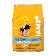 Iams Smart Puppy Large Breed - 40 lbs
