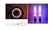 AOR POWER #AR127 Multicolor Bicycle Tire Valve Stem LED Cap Lights, Bike Wheel Lights, 2-Pack