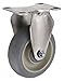 Albion 4" Light-Medium Duty Rigid Plate Caster, 300 lb. Load Rating 04XR04028RGN - 1 Each