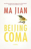 Beijing Coma