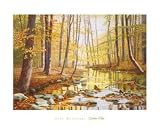 Golden Flow by Gene McInerney. ART PRINT ON CANVAS WITH BRUSHSTROKES with 3/4 inch deep bars. 24.77 inches width by 17.74 inches height. Highest Quality Art Poster Print