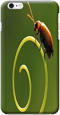 Hahalo Beetle Hug Kiss Ride Circle Melon Vine for Iphone 6 Cases