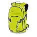 Dakine HELI PRO Gelb-Grün Rucksack Laptoprucksack 15 Zoll Schulrucksack 20 L