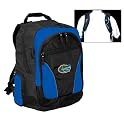 17-inch Laptop Backpack