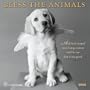 Bless the Animals 2008 Wall Calendar