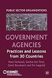 Government agencies : practices and lessons from 30 countries