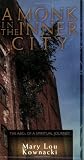 A monk in the inner city : the ABCs of a spiritual journey