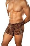1st Fantasies Male Power Leopard Print Pouch Shorts