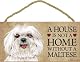 A house is not a home without Maltese (puppy cut / short hair cut) - 5