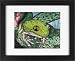 Frog Picture - Animal Framed Art Print Children's