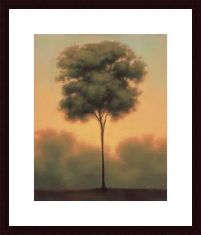 Barewalls Interactive Art 359872S61-BLK,CW,WTW Solitude IV, Wood Framed Art Print- Black Wood-White Mat