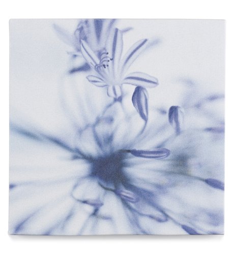 Floral Wall Art