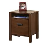 Broyhill Mission Nuevo 3 Pc Home Office Set in Mahogany