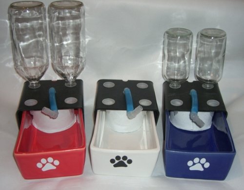 Mold Free Sanitary Ceramic Made in USA Pet Water Fountain with One Gallon Glass Refill