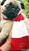 Red & White Striped Dog Scarf with Bone Rhinestone