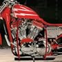Bike Diaper Motorcycle Oil Leak Absorbent Pad Tray and Harness